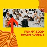Image result for Funny Zoom Backgrounds