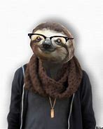 Image result for Hipster Sloth