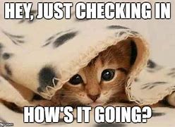 Image result for Funny Checking in Meme
