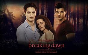 Image result for Project Breaking Dawn