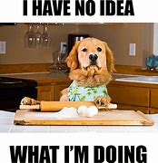 Image result for Animal Cooking Memes