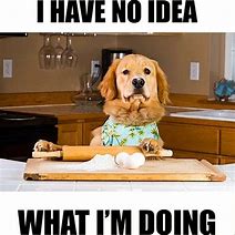 Image result for Funny Memes About Cooking