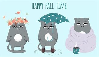 Image result for Grumpy Cat in Autumn