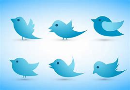 Image result for Twitter Bird Graphic
