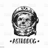 Image result for Cute Space Dog