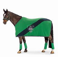 Image result for Arabian Horse Dressage