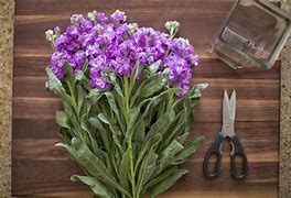 Image result for Farmers Market Flowers