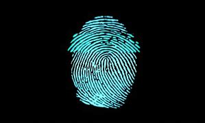 Image result for Fingerprint Scan Screen