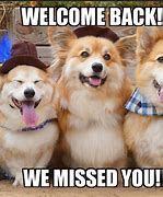 Image result for Cute Welcome Back Meme