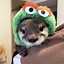 Image result for Otter Runing Hat