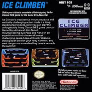 Image result for Ice Climber Disk Writer Box Art