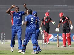 Image result for Cricket in USA