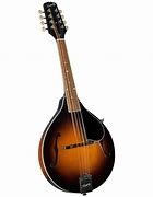 Image result for Mandolin Playing