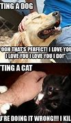 Image result for Dog Cat Love Meme