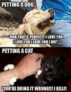 Image result for Cute Baby Cats and Dogs Memes