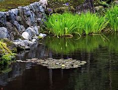 Image result for Zen Water Wallpaper Desktop