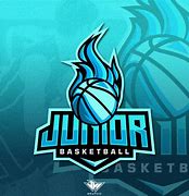Image result for Team USA Basketball Logo