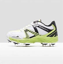 Image result for Kids Spikes for Cricket