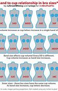 Image result for What Is a Large Cup but Same Band 36DD