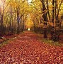 Image result for Fall Backgrounds for Computer