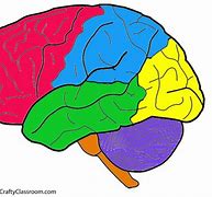 Image result for Small Brain Person