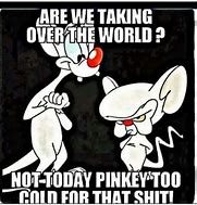 Image result for Pinky and the Brain Rust Meme