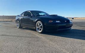 Image result for 2000 muatsng mach 1