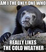 Image result for Funny Freezing Cold Weather