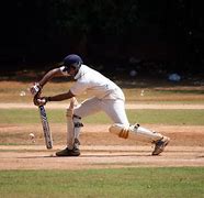 Image result for Electronic Cricket Chirper