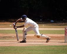 Image result for Cricket Poetry
