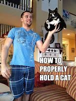 Image result for Hold the Cat Meme