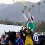 Image result for Breeders' Cup Horse Racing