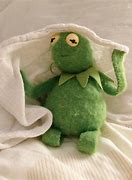 Image result for Kermit Being Cute