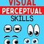 Image result for Visual Perception OT