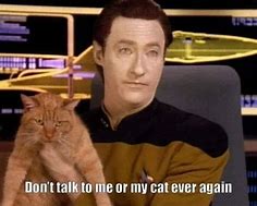 Image result for Mr Fresh Cat Meme