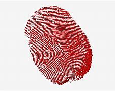 Image result for Fingerprint Marco Phone