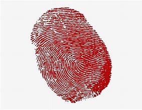 Image result for Fingerprint Red Icon