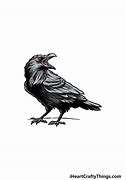 Image result for Raven Draw