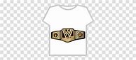 Image result for John Cena WWE Champion Belt