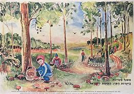 Image result for Israel Childhood in the 1960s