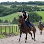 Image result for Trainers Leading Horses