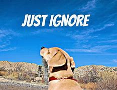 Image result for Just Ignore It HD for PC