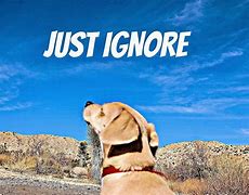 Image result for Just Ignore It HD for PC