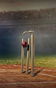 Image result for Cricket Wicket and Ball