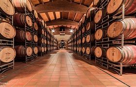 Image result for Cantemerle Banfi