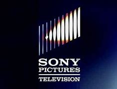 Image result for Biggest Sony TV