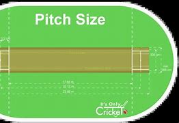 Image result for Crciket Pitch PNG