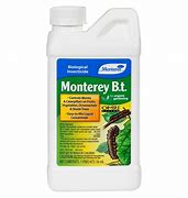 Image result for BT Insecticide