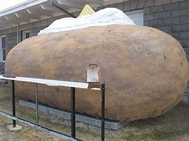 Image result for World's Largest Potato