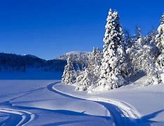 Image result for inverno